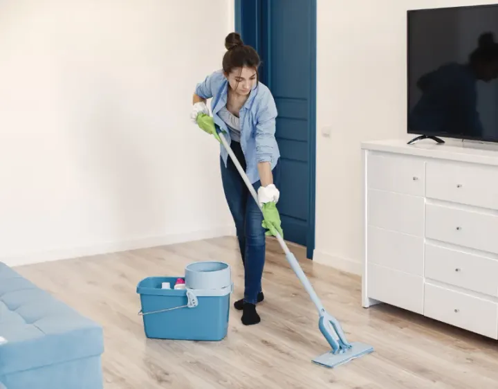 Femme de ménage Beaudéan